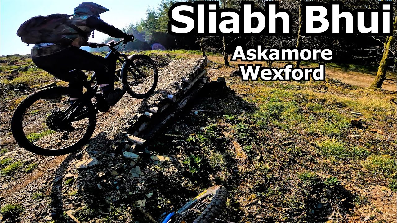 Sliabh Bhui MTB Lovely Long Runs! Askamore, Wexford