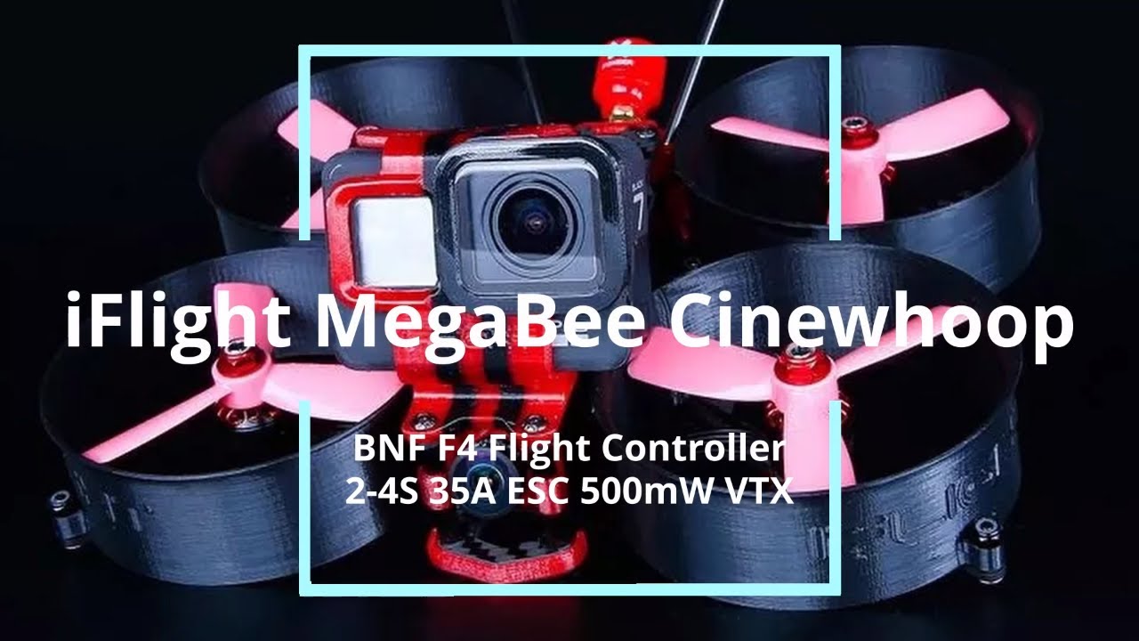 iFlight MegaBee 3-Inch Cinewhoop - Support Carry for GoPro5/6/7 4K Filming Cam