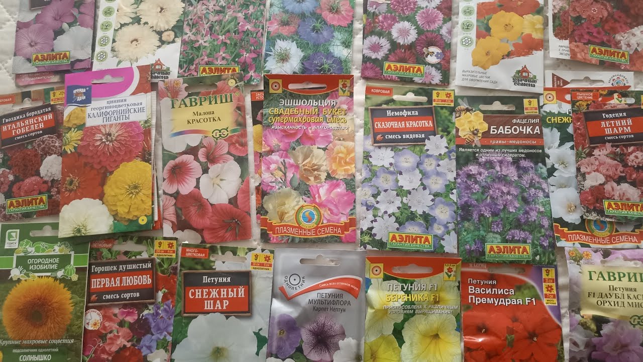 Красивая и яркая клумба  из однолетних, цветущая всё лето.🌺🌼🌹🌸🌻🌼 Посадил и забыл ☝👍