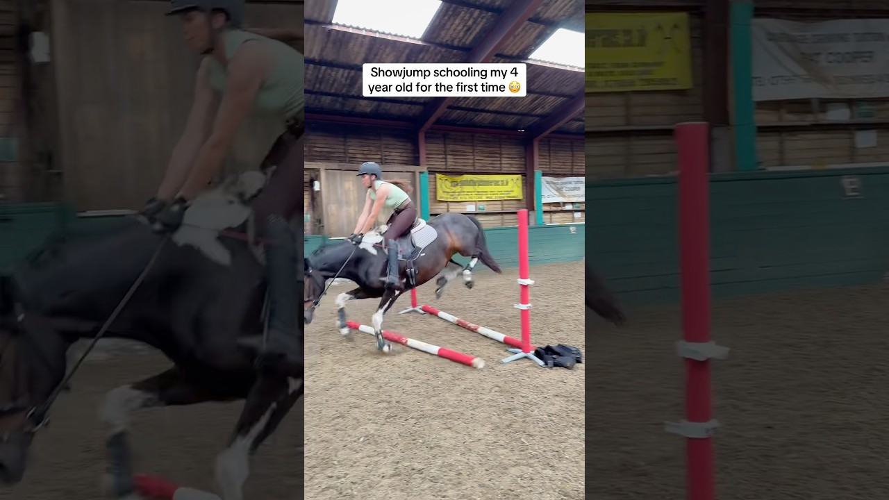 Thank you Benson Boone 😇 #horse #equestrian #horsegirl #showjumping #equestrianjourney #fyp