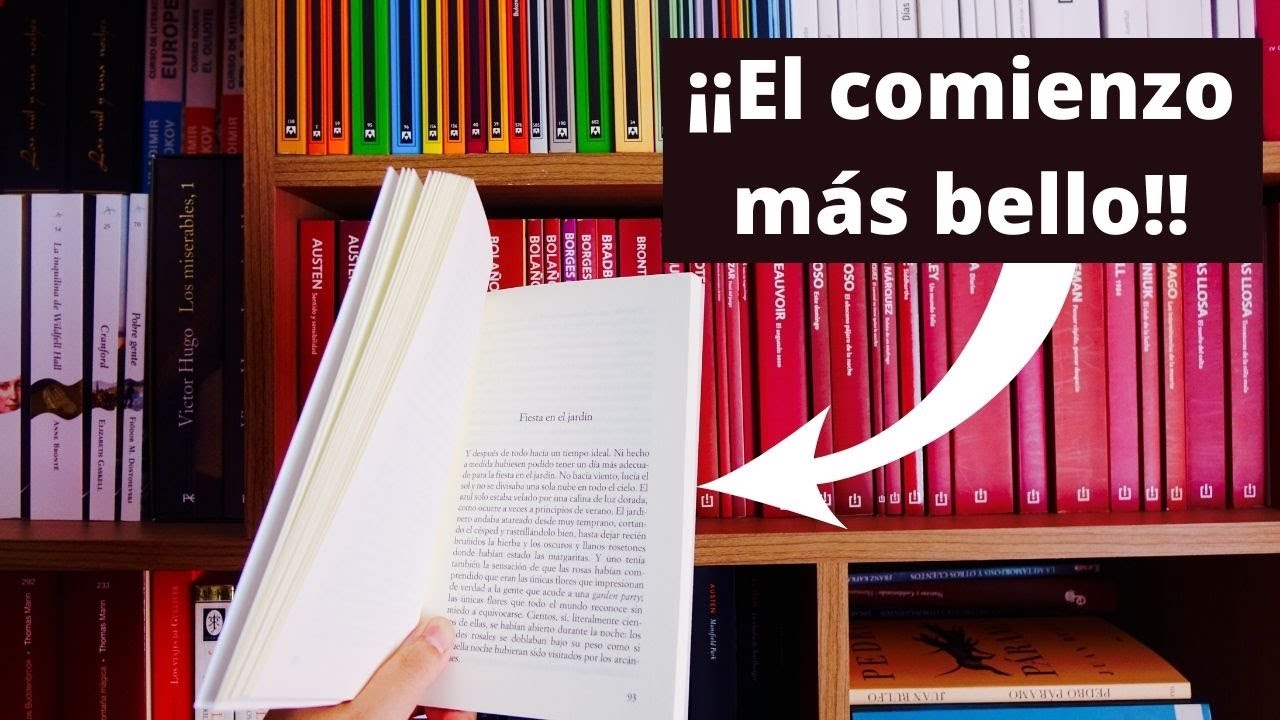 Top: 19 Mejores comienzos de LIBROS de la literatura (Mis inicios favoritos)