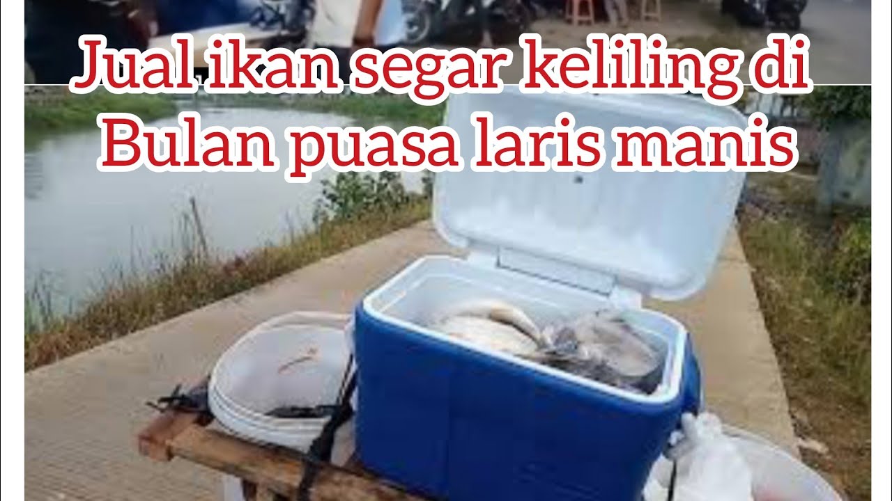 Jual ikan segar keliling  di bulan puasa