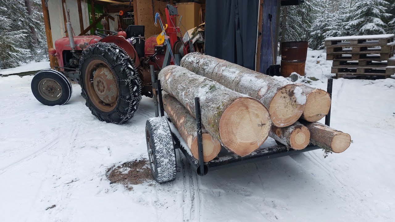 Hurjan iso kuusi ja massikan lämmittelyä.
