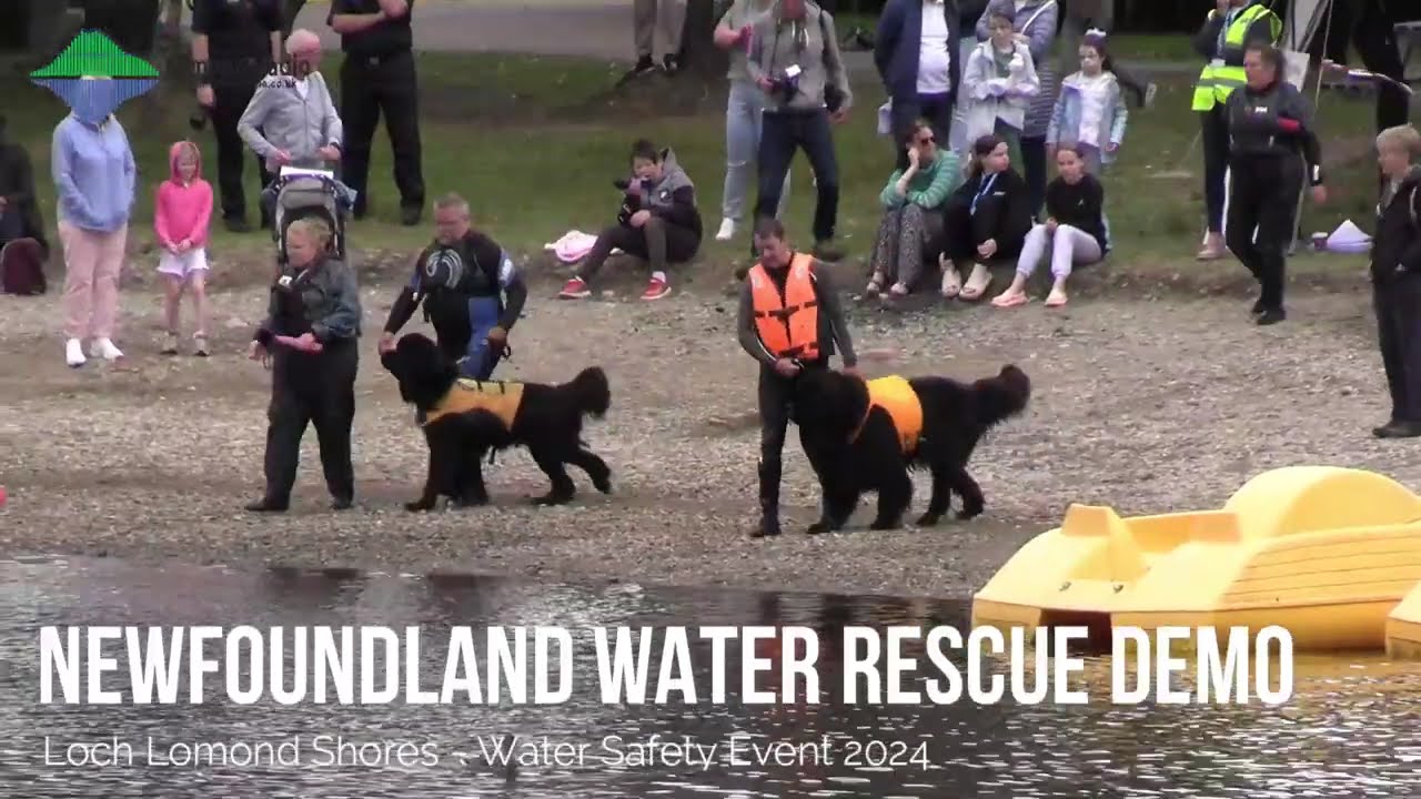 Newfoundland Water Rescue Demo - Water Safety Event 2024