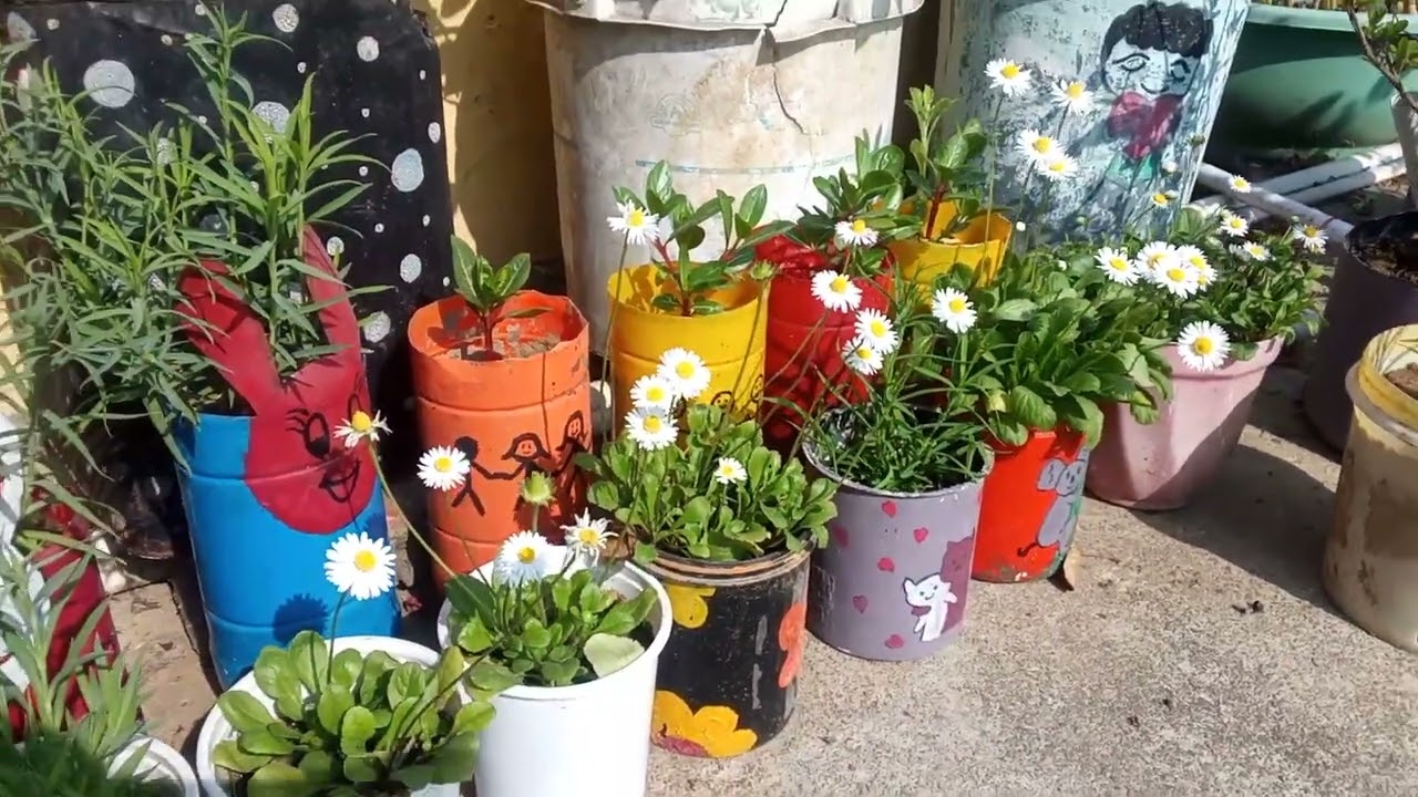 गर्मियों में भी गार्डन में flowers चाहतेहैं तो यह पौधे लगाए।गार्डन फूलों से भरा रहेगा 🪴🏡 #gardening 