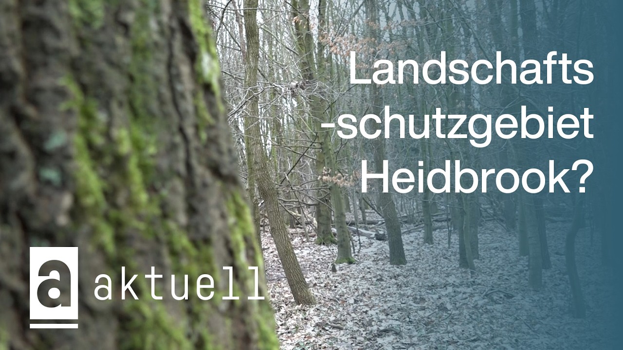 Landschaftsschutzgebiet Heidbrook? Das sind die Pläne der Stadt | oeins aktuell