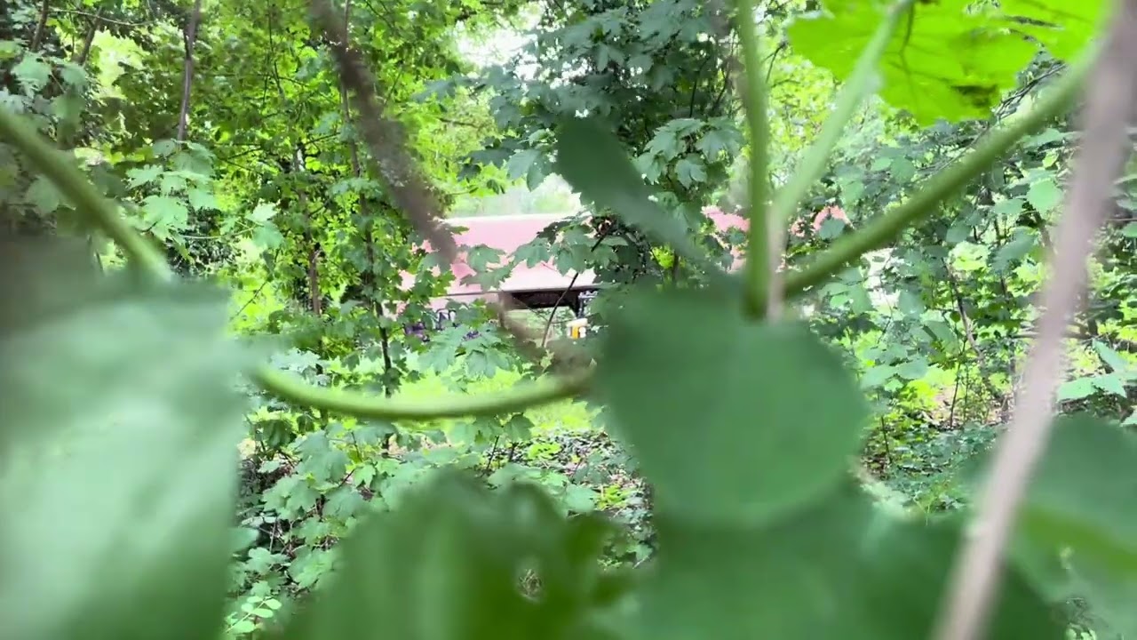Trying to visit East Berlin's famous Spreepark
