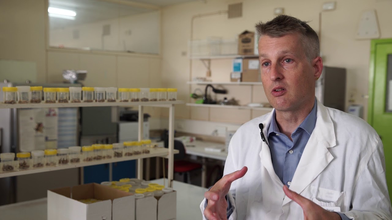 Strategies to control crown rot &ndash; Dr Daniel H&uuml;berli | 2018 Know More series | Western Region
