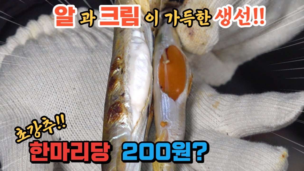 이렇게 꽉찬 생선이 마리당 200원?? 너무 황홀한 맛!! 양미리 지금 꼭 드세요!!
