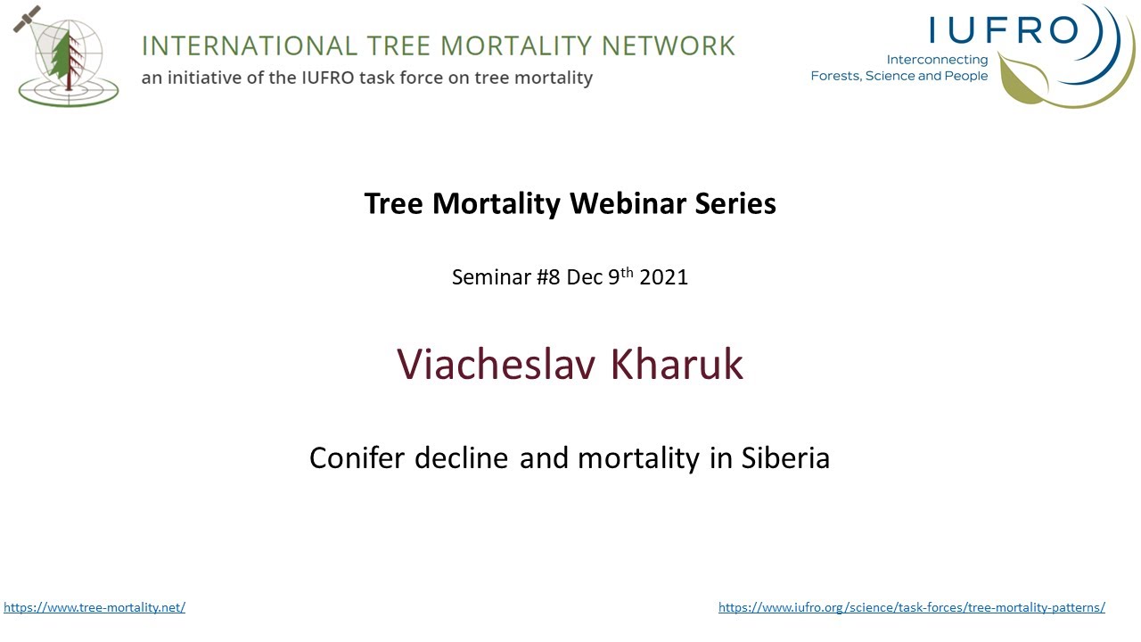 ITMN Seminar #8  Conifer Decline and Mortality in Siberia by Prof Viacheslav I. Kharuk