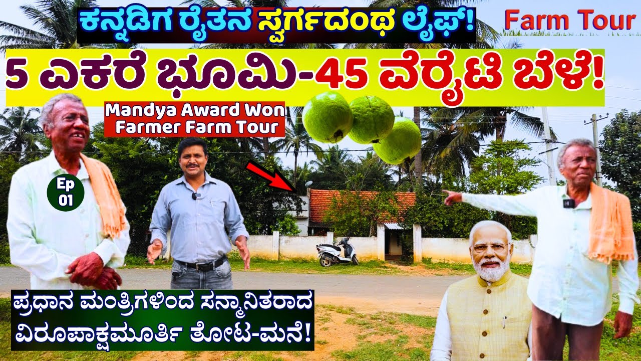FARM TOUR-ಮಂಡ್ಯದ ರಿಯಲ್ ಬಂಗಾರದ ಮನುಷ್ಯ-5 ಎಕರೆ ಕಲ್ಲು ಭೂಮಿಯಲ್ಲಿ ಸ್ವರ್ಗದಂಥ ತೋಟ!E01-Virupaksha Murthy Farm