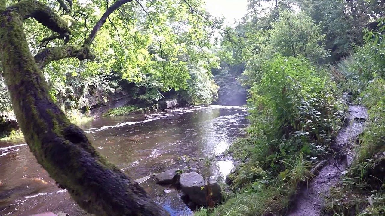 Rukins Campsite - Keld North Yorkshire