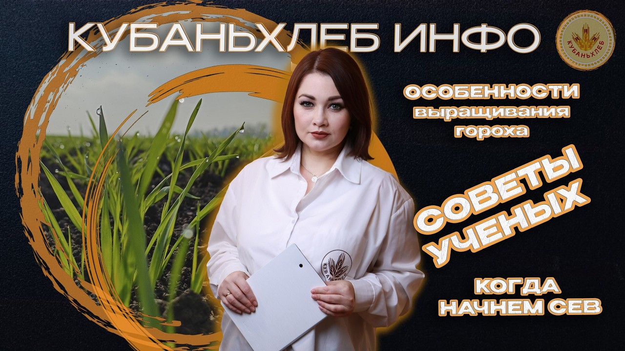 Новости АПК «Кубаньхлеб» 19.02.2026