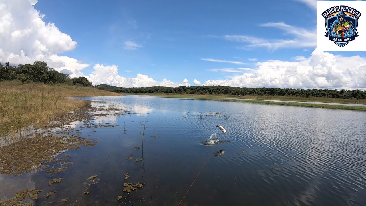 Em busca dos peixes (Placa do ADIR).Mostrando a realidade da pesca. Veja até o final. #pescaria 