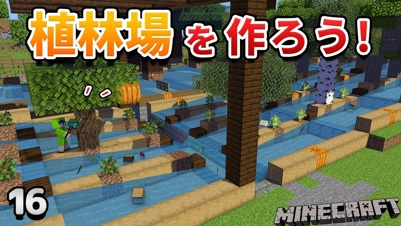 【16】苗木が自動で回収できる植林場を作ろう！【初心者向けのマインクラフト】