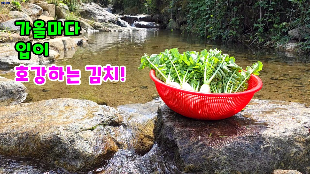 Каждую осень наслаждаюсь вкуснейшим домашним кимчи~🌶🥦