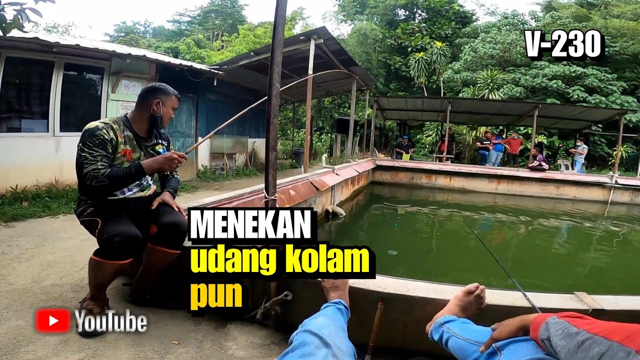 Mancing Udang Galah  Kolam Noramzah Kg Kemensah 2020_Versi Siang