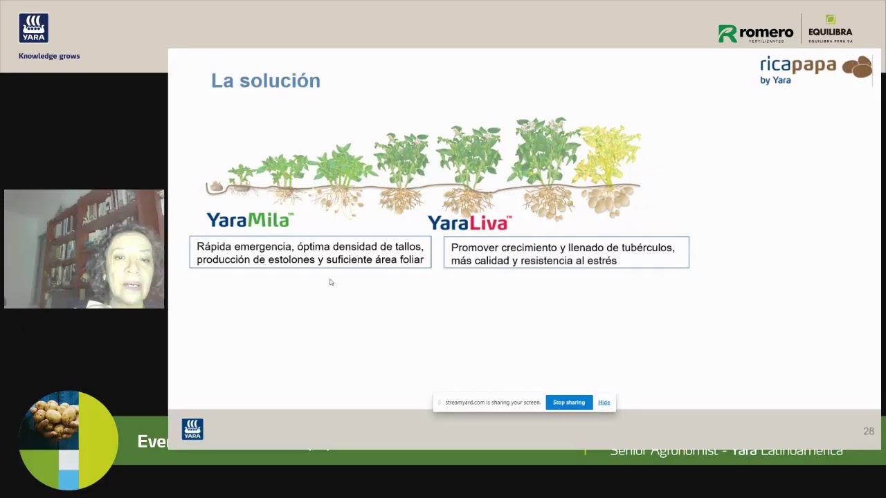 Webinar Papa