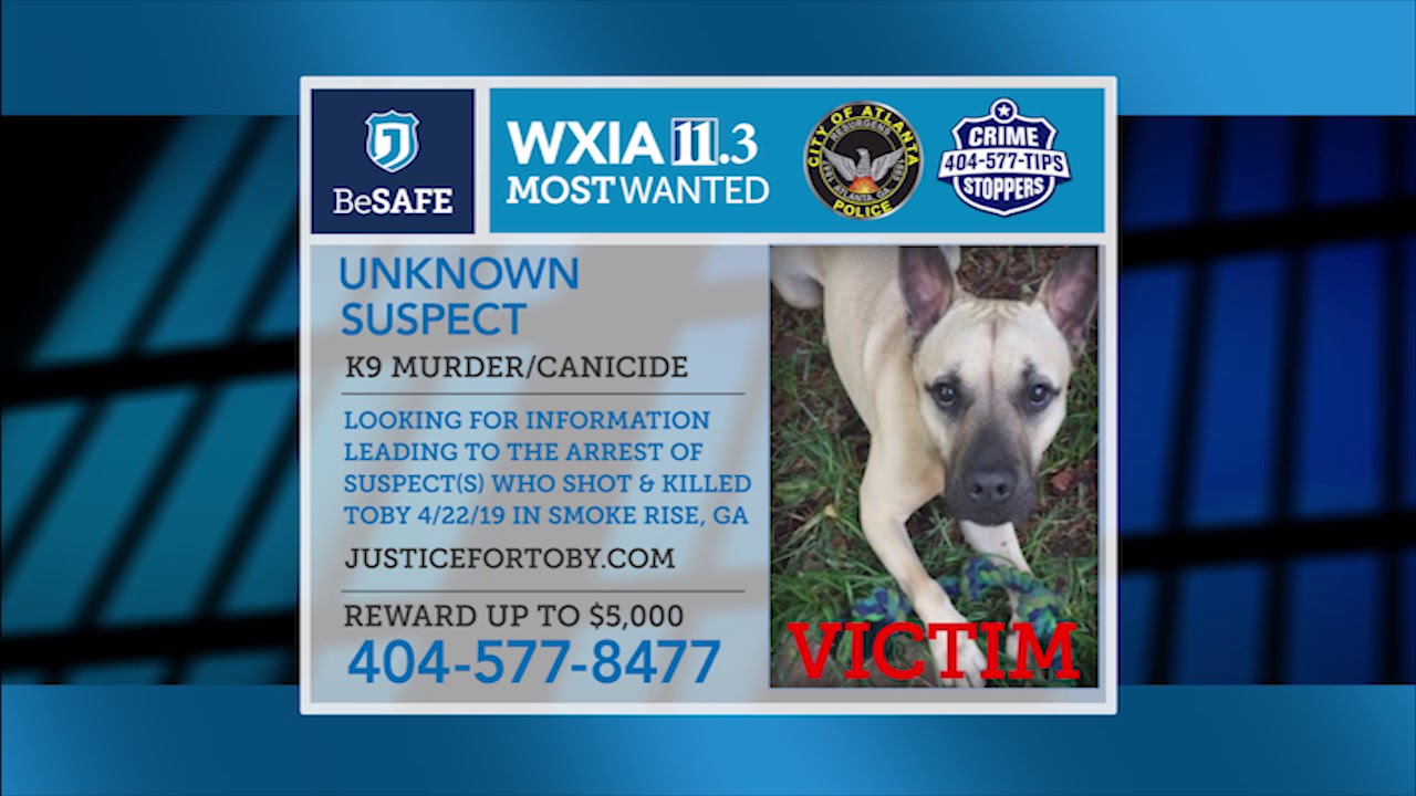 Most Wanted - K9 Murder/Canicide in Atlanta, GA