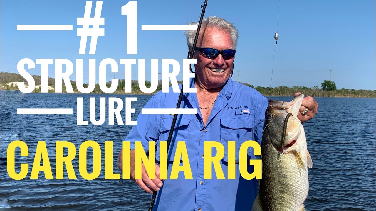 Carolina rig for big Bass