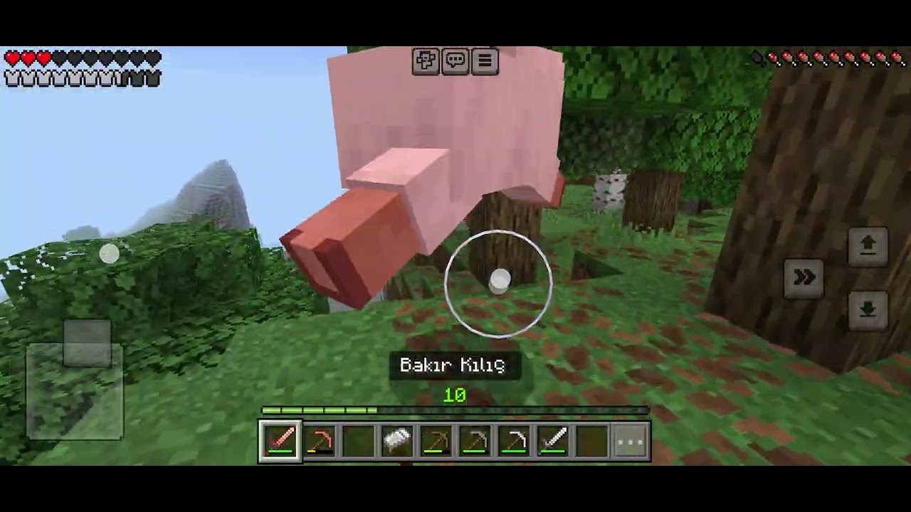 Minecraft oynuyoruz part 3