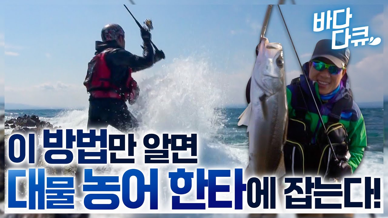 성질 까탈스럽기로 소문난 육식성 어종 대물 농어! / 거친 파도를 온몸으로 겪는 극한의 낚시.. 그런데 이 방법 썼더니 '월척 대물 농어' 제대로 걸렸다! / #바다다큐