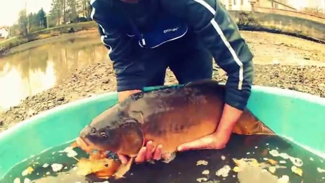 Výlov rybníku na Mořině 2014 HD