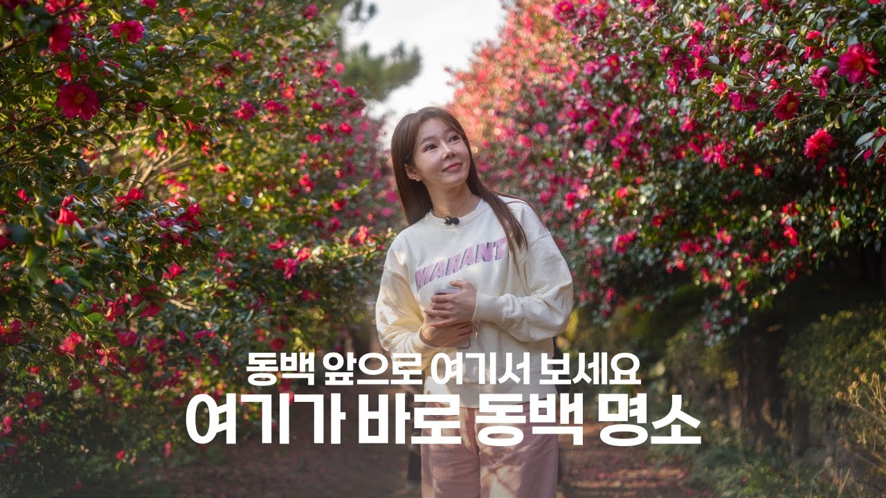 [갑조네 TV] 제주 동백ㅣ카멜리아힐ㅣ파더스가든