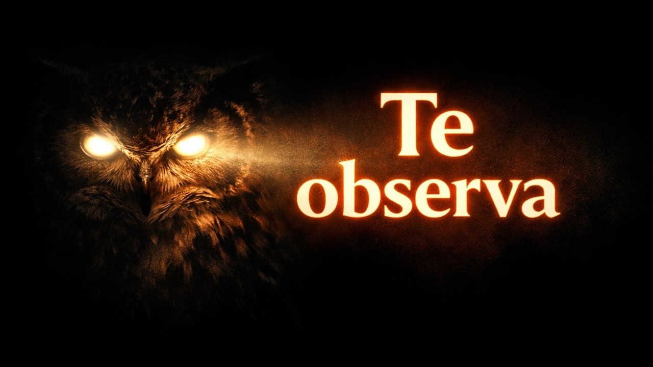 Si un animal te BUSCA REPETIDAMENTE, es un mensaje del Campo Cuántico: El Efecto Observador está ca