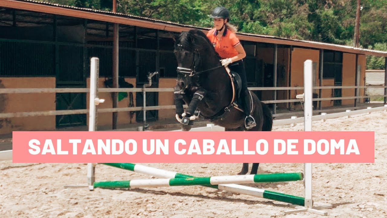 Saltando un caballo de doma por primera vez