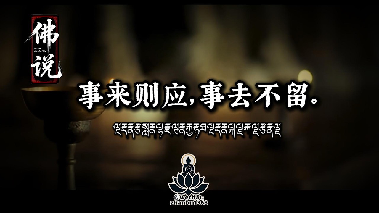 坦山和尚：我早就放下那姑娘了，你心里那个怎么还抱着呢？#國學 #佛學 #禪宗 #因果 #開悟 #智慧