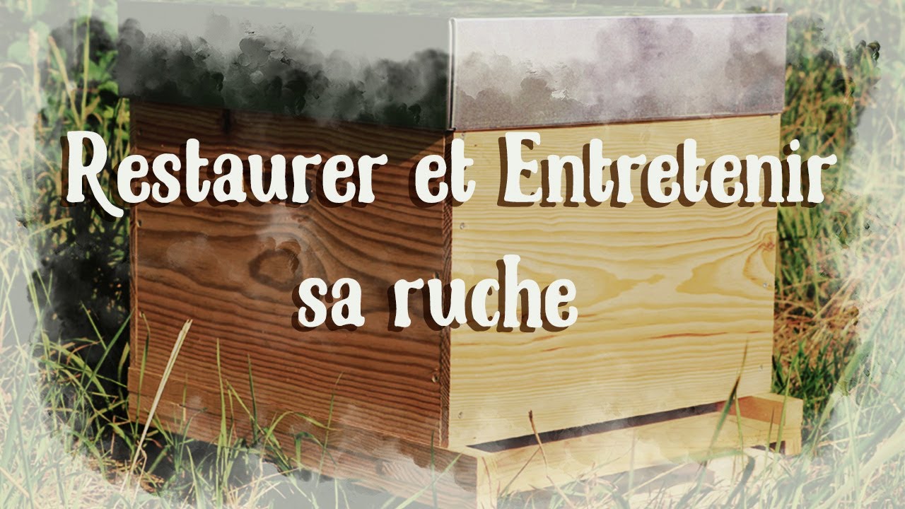Comment Entretenir et restaurer une vielle Ruche ou une ruchette? 