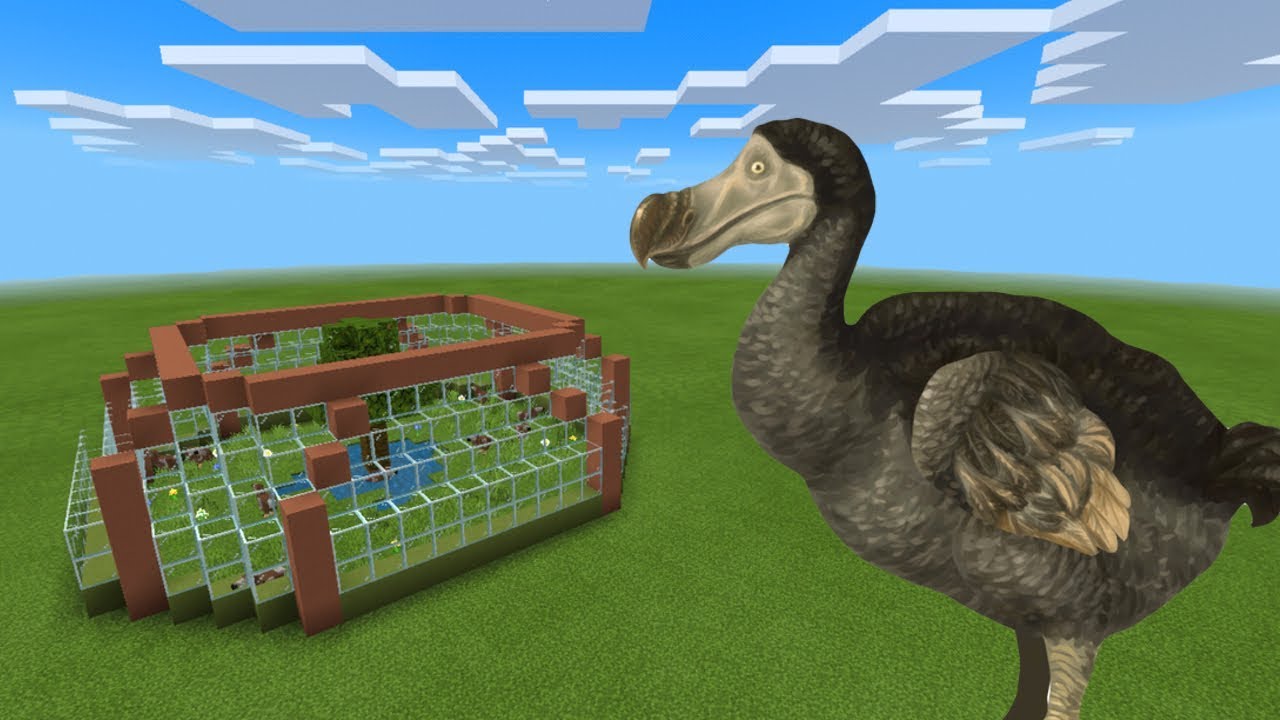 How To Make a DODO FARM in Minecraft PE