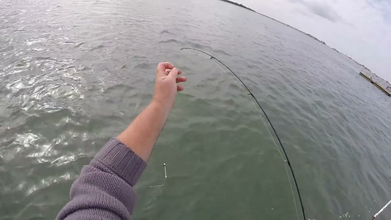 Fishing in Langstone Harbour.