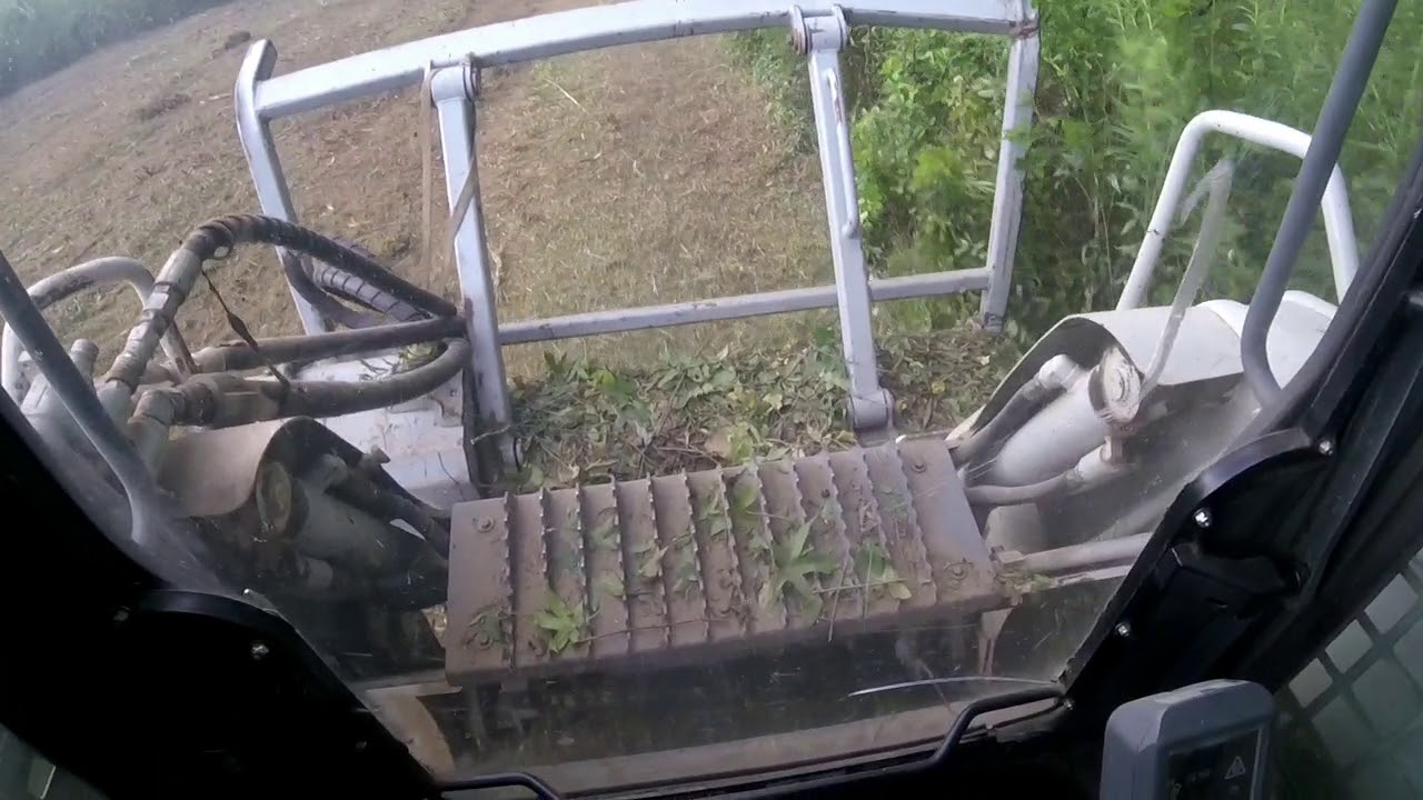 Mulching an overgrown pasture.