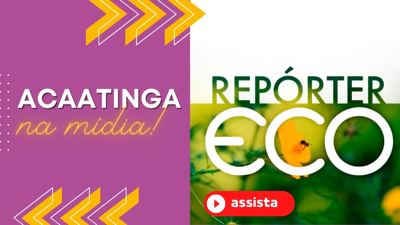 ACaatinga no Repórter Eco