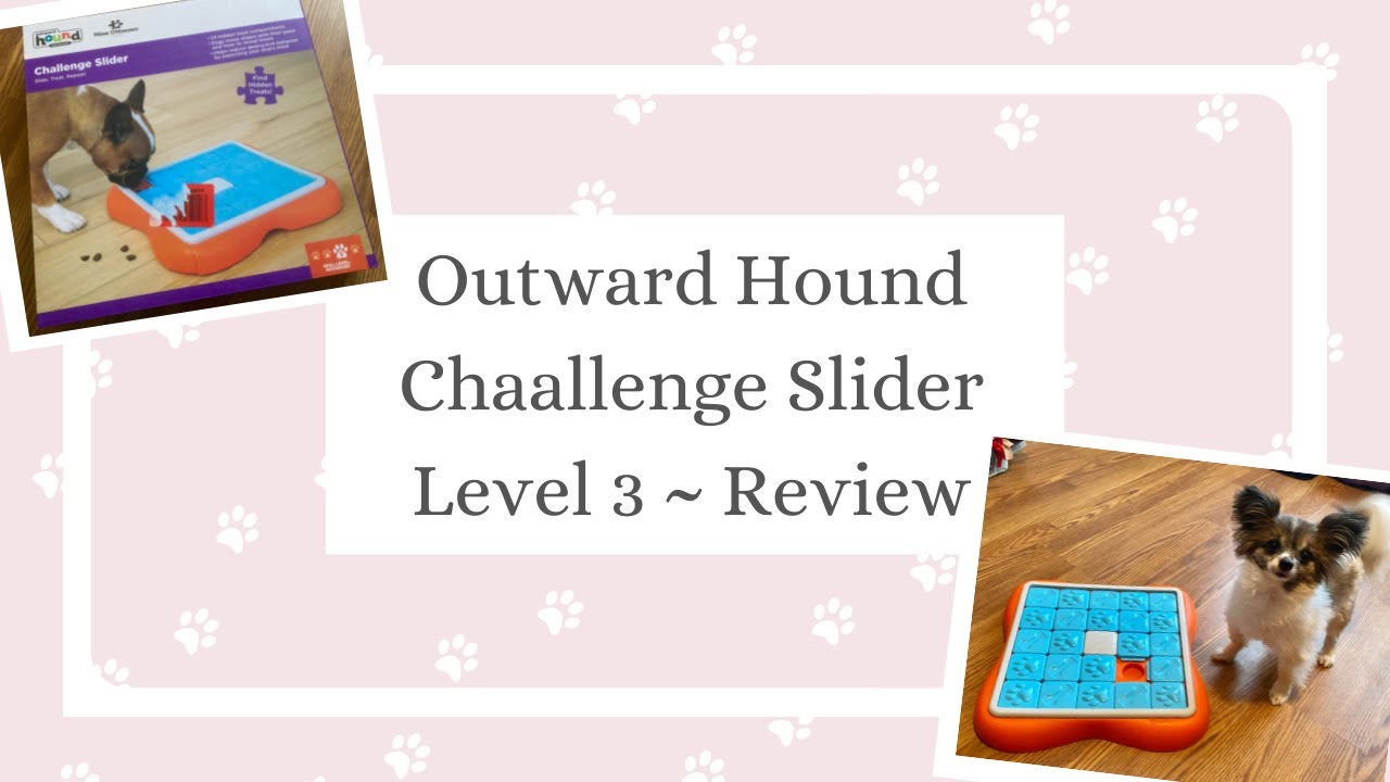 Cat's Canines ~ Outward Hound Challenge Slider ~ Level 3 ~ Review