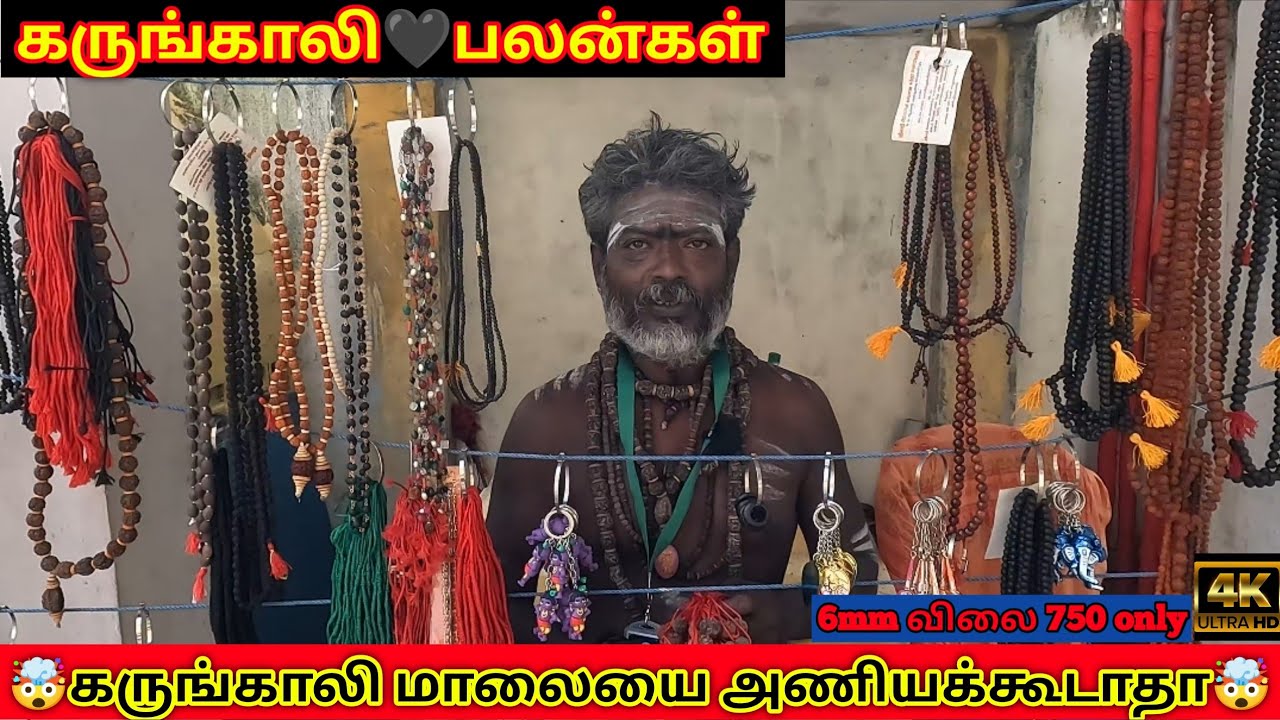 🕉️கருங்காலி மாலை 6mm விலை 750 only|கருங்காலி பலன்கள்🤯கருங்காலி மாலையை அணியக்கூடாதா|தாத்தா கோவில் கடை