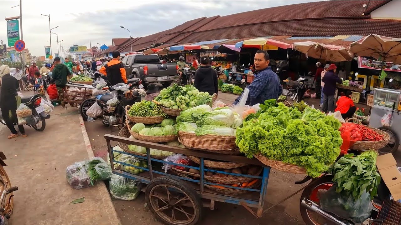Busy Street Food Scenes | Local Market Exploration | Village Life and Markets | Street Food | Br Tv