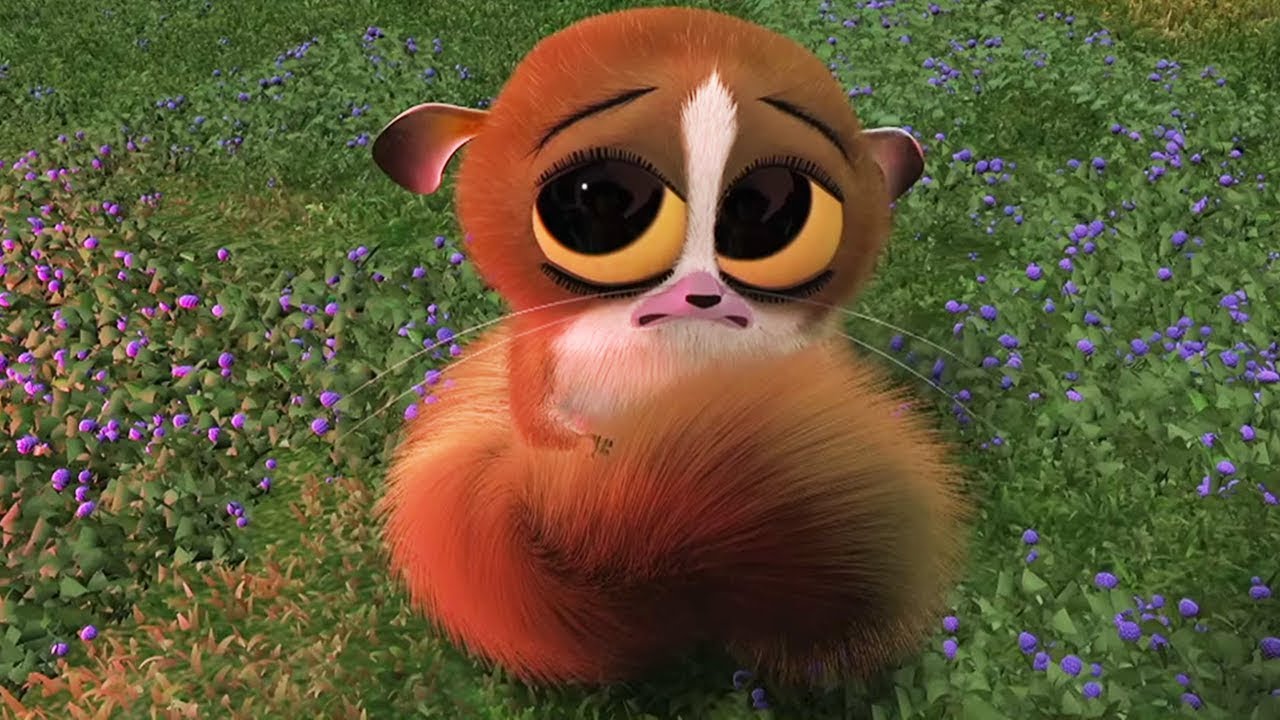 DreamWorks Madagascar em Português | Chorando Mort Cena -Madagascar | Desenhos Animados