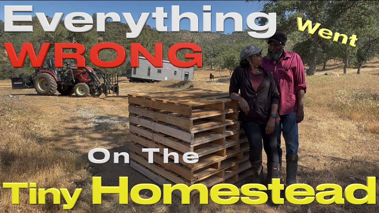 😤 THIS Weekend SUCKED!😥BAD TIMES on The Tiny Homestead#offgrid #homestead #tinyhouse #tractor