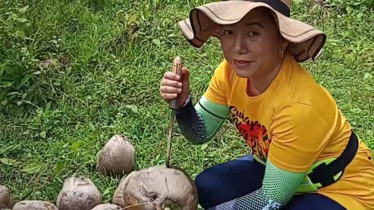 Harvesting Coconuts as a Family 🥥 | Copra Making & Fresh Buko at the Farm!