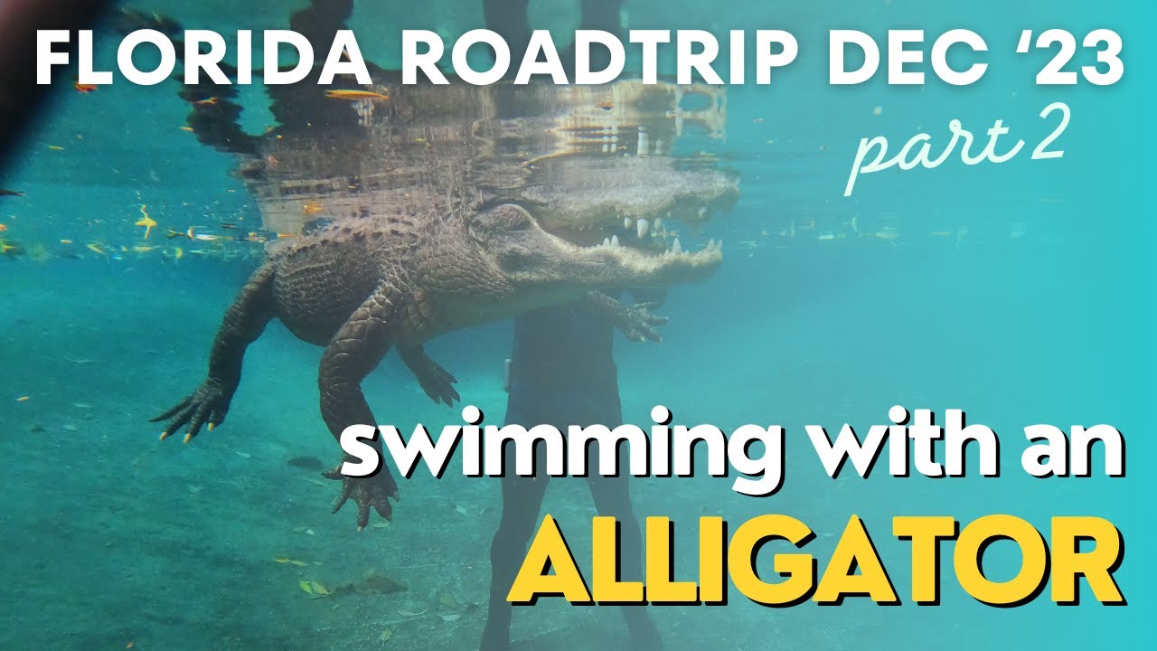 Florida Roadtrip Dec '23 - Part 2