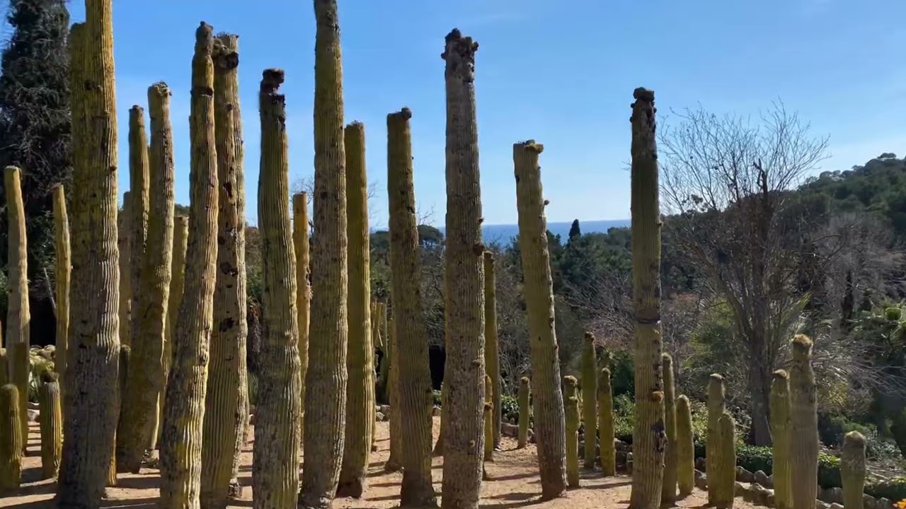 Visite du jardin botanique Pinya de Rosa Costa Brava