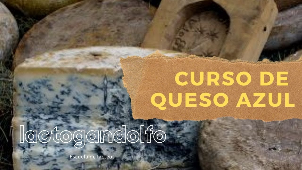 CURSO DE QUESO AZUL  escuela lactogandolfo
