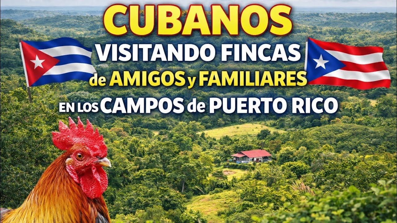 Cubanos ￼￼visitando fincas de amigos y familiares en los campos de puerto Rico
