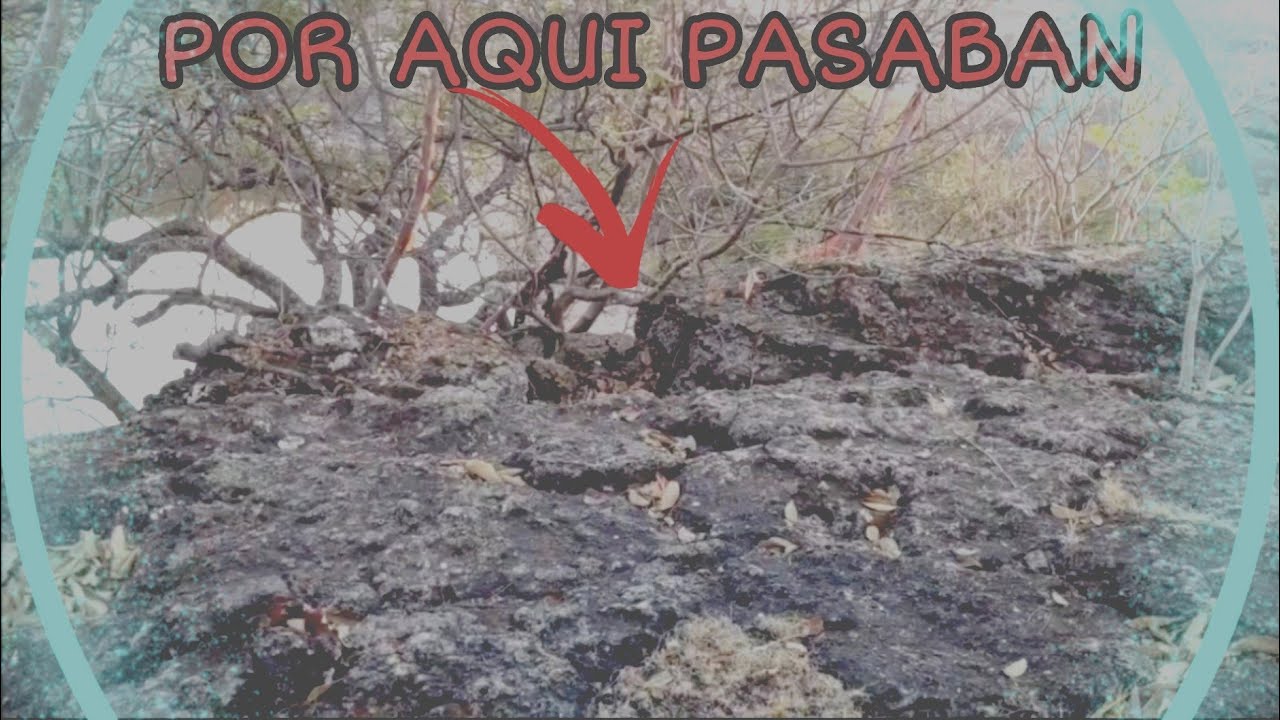 🌲BUSCANDO UN REFUGIO DE CRISTEROS 🌲