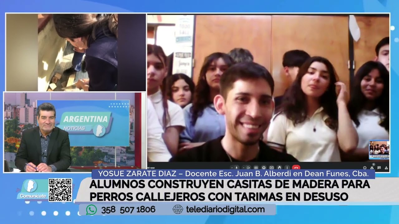Alumnos construyen casitas de madera para perros callejeros con tarimas en desuso
