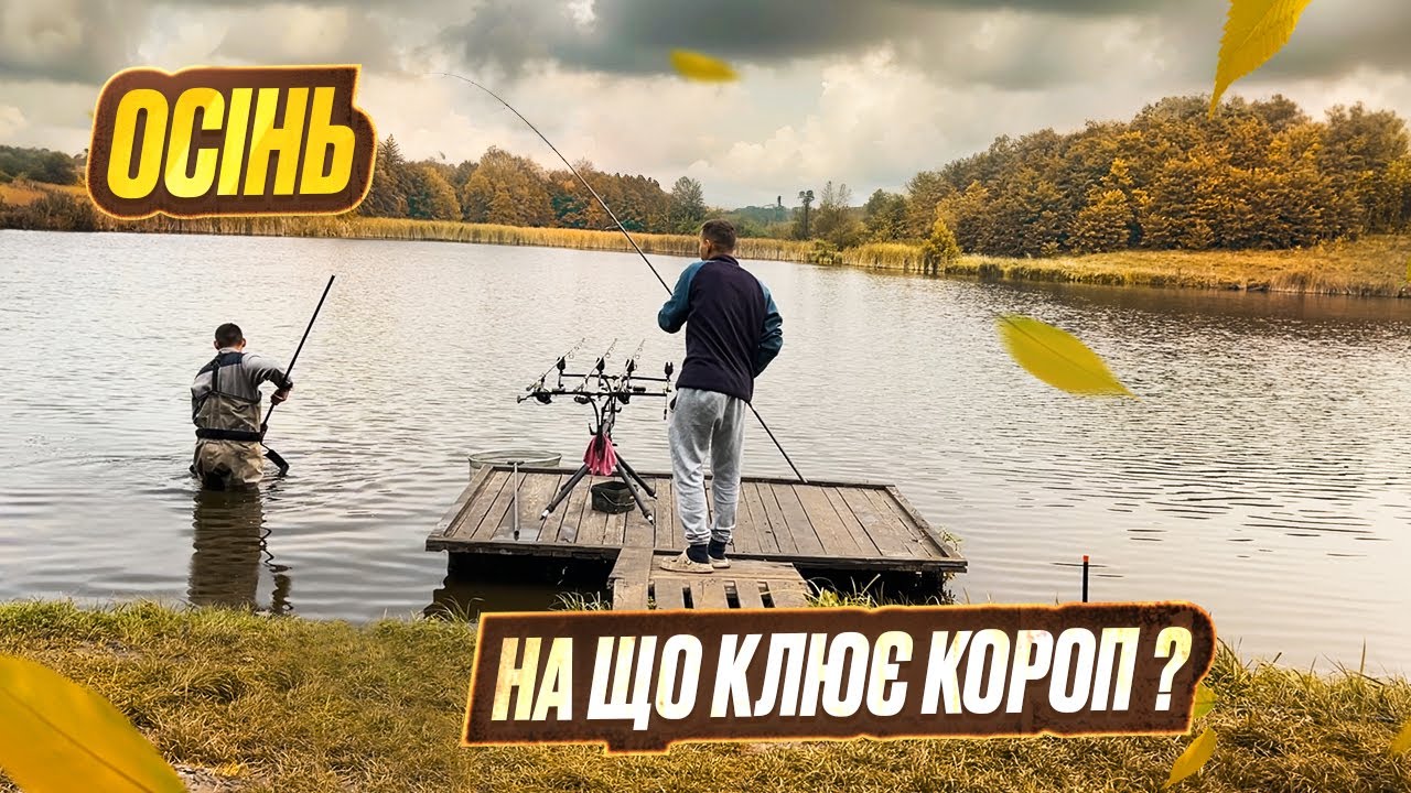 ЯК ПІЙМАТИ ТРОФЕЙНОГО КОРОПА ВОСЕНИ? Найкраща насадка на КОРОПА!