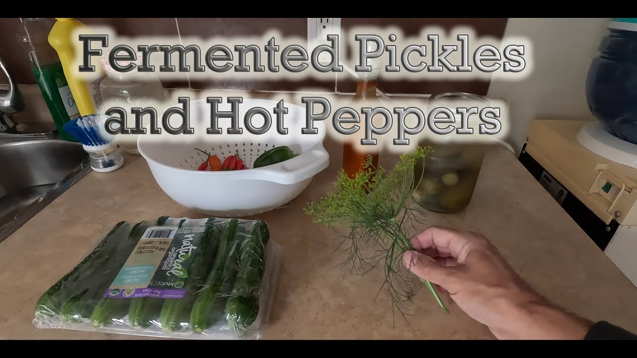 How to Ferment Pickles & Hot Peppers